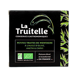 Small mountain trout in...