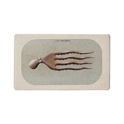 Octopus in olive oil and...