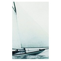 Sailing boat plate: "Alpha"