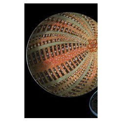 Petite assiette à motif...