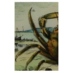 Plat "crabe"