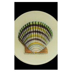 Petite assiette "coquillage"