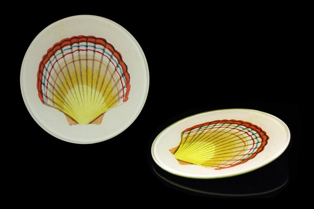 Belle Forme De Coquille Plat Plateau En Verre - Assiette Coquillage Vintage Pour Dîner Et Fruits Style Saint-Jacques
