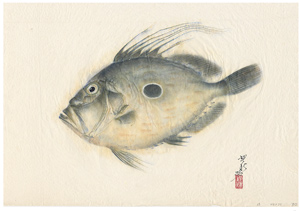 gyotaku